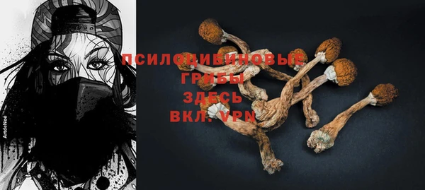 молекула духа Инсар