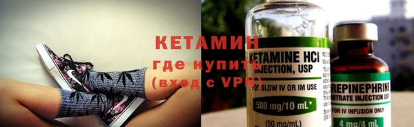 прущие грибы Каменногорск