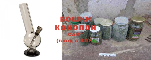 молекула духа Инсар