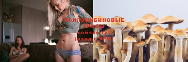 ECSTASY Инта