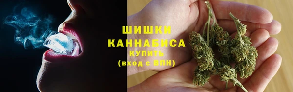 молекула духа Инсар