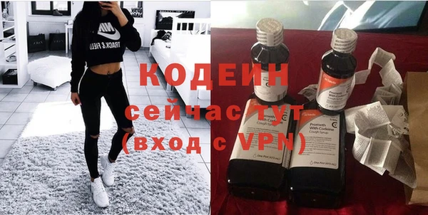молекула духа Инсар