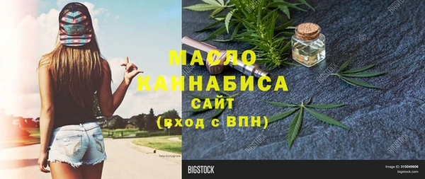 дмт Каменка