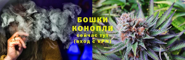 ECSTASY Инта