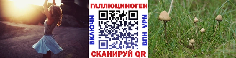 Галлюциногенные грибы MAGIC MUSHROOMS Купить закладки Гулькевичи